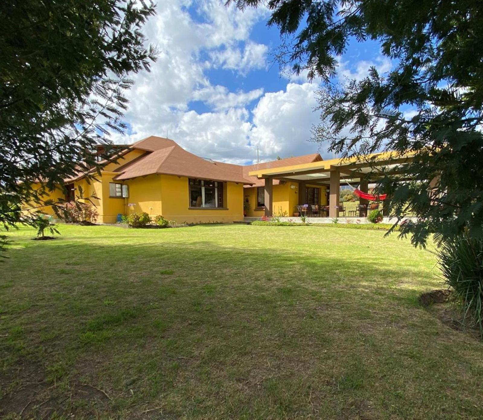 Cottage house كايامبيه المظهر الخارجي الصورة