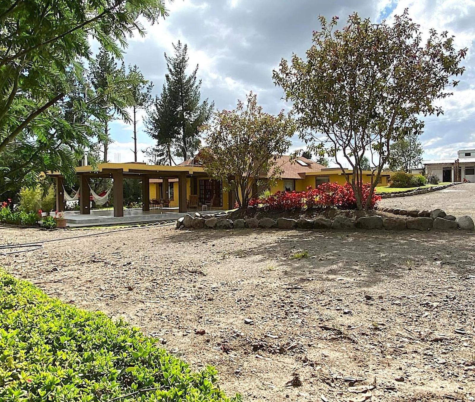 Cottage house كايامبيه المظهر الخارجي الصورة